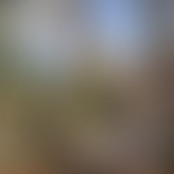 Congress Passes Rare Bipartisan Funding Deal for Public Lands