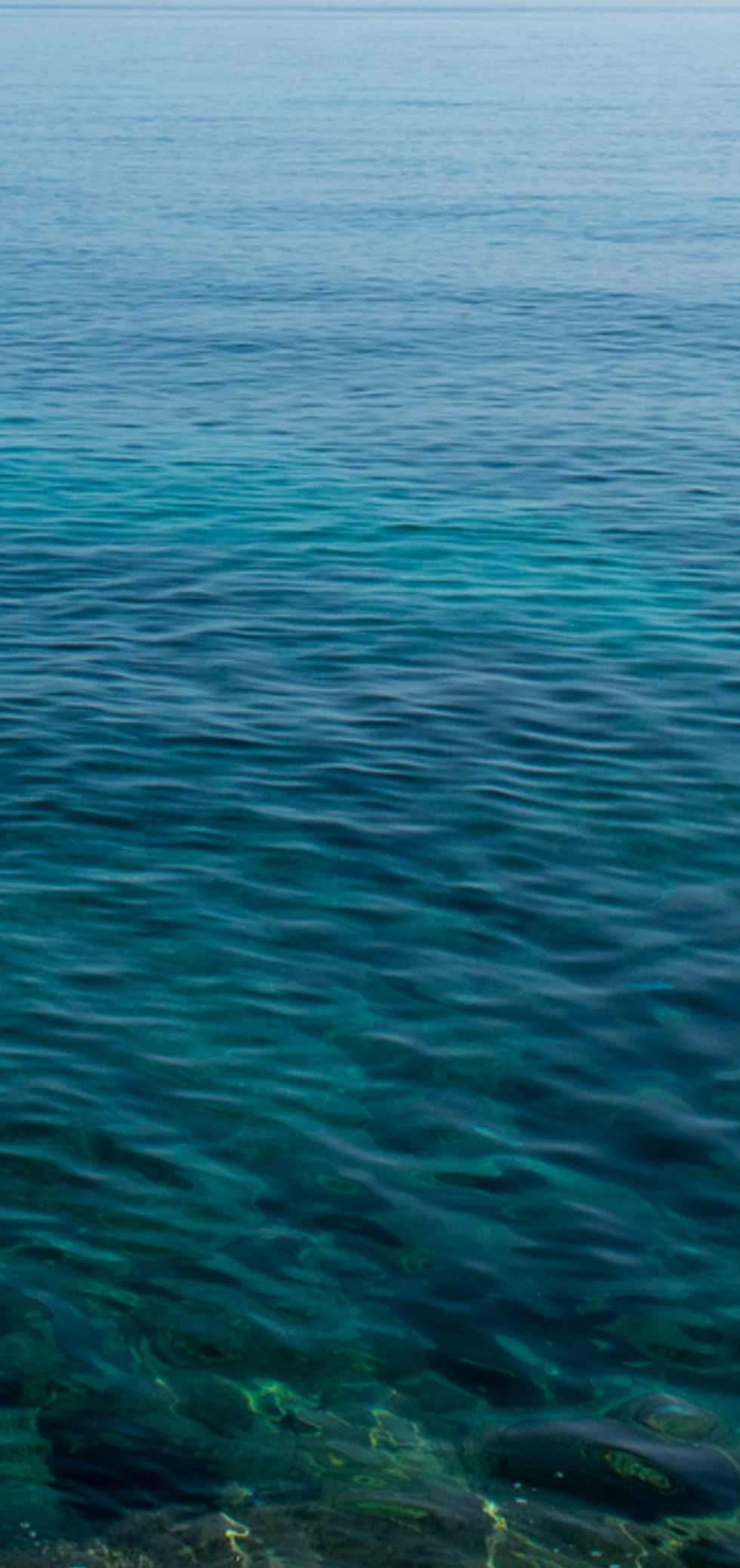 Ocean