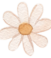 Watercolor Daisy Illustration