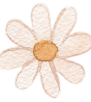 Watercolor Daisy Illustration