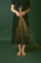 Dried Branches