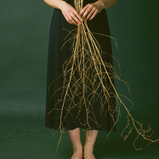 The Nervous System Reset: Why Breathwork Is the Missing Link in Modern Stress Management