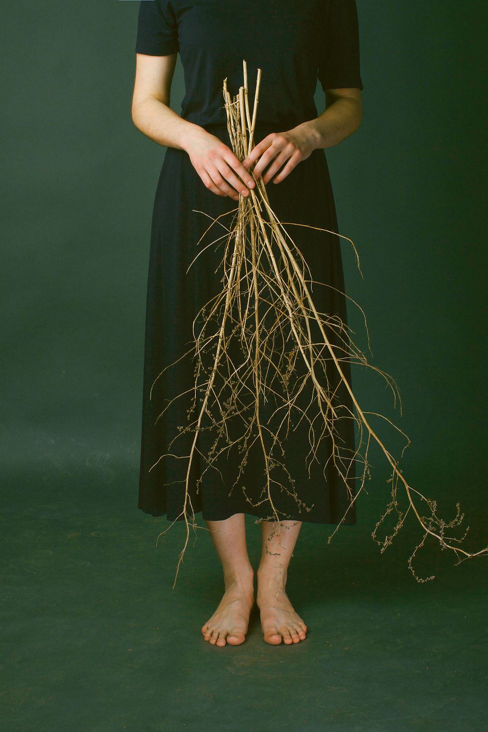 WILLOW BIRDHOUSE WORKSHOP