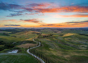 Rolling vineyards and countryside in Tuscany featured on the Bella ITALIA Tuscany & Umbria Tour