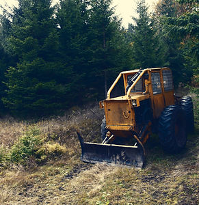 Yellow Bulldozer Forest