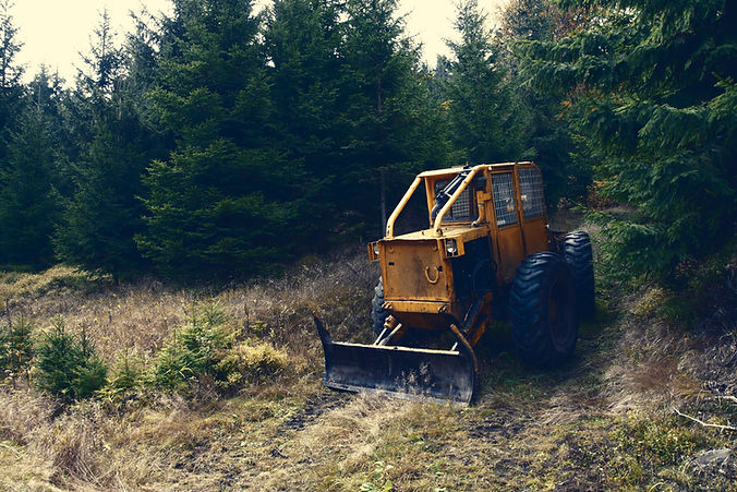 Yellow Bulldozer Forest