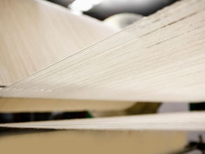 BioSusTex Joins ECOSYSTEX: Strengthening European Collaboration for Sustainable Textiles