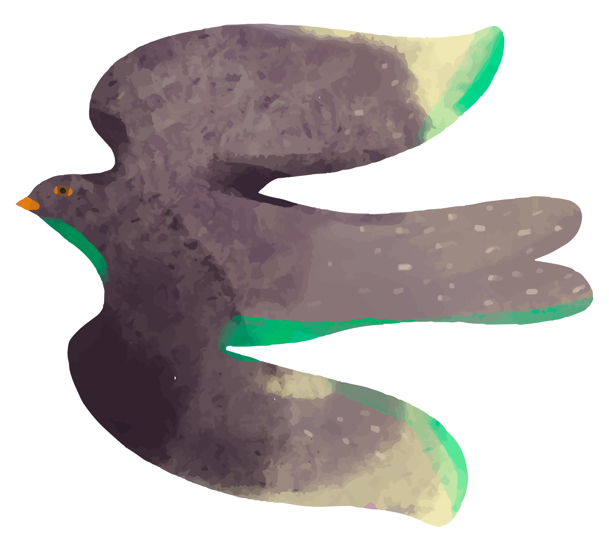 Colorful Flying Bird