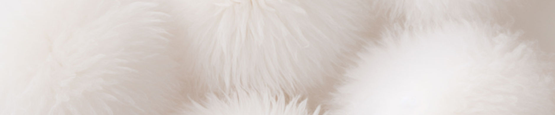 Pom Poms blancs