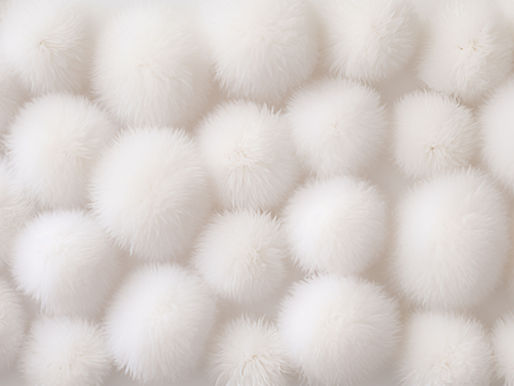 pon pon blanc