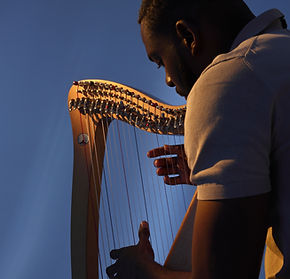 Harpist