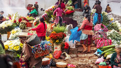 Reducing poverty and hunger away from the global main crises