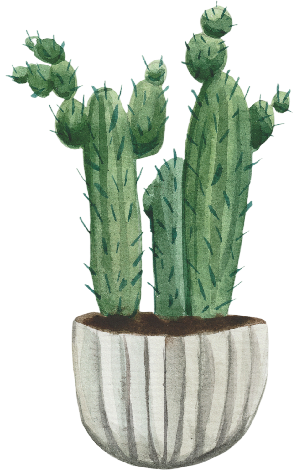 Potted Cactus Illustration