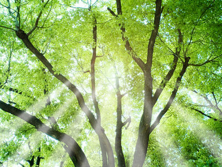 夏季休暇臨時休業のご案内