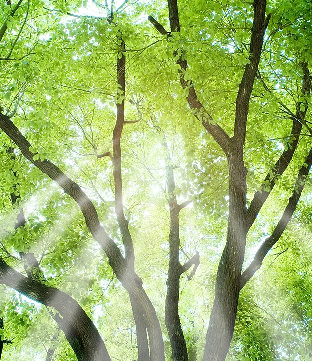 トップ 京都市北区 再生資源回収 卸 旭商事 本店 トップ 京都市北区 再生資源回収 卸 旭商事 本店