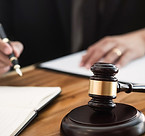 Judge