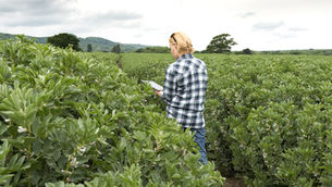 Agro 5.0: a revolução dos dados dentro e fora das porteiras 
