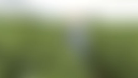 Agro 5.0: a revolução dos dados dentro e fora das porteiras 