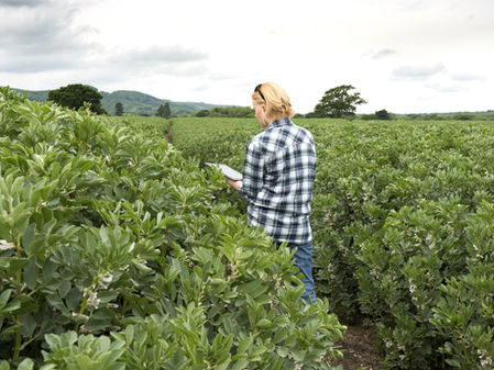 Top Features to Look For in a Farm Management System