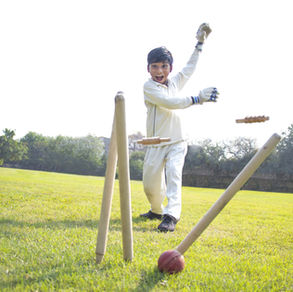 Discover gifts for fans of cricket including books, toys and games