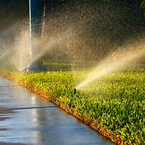 Sprinklers watering green grass