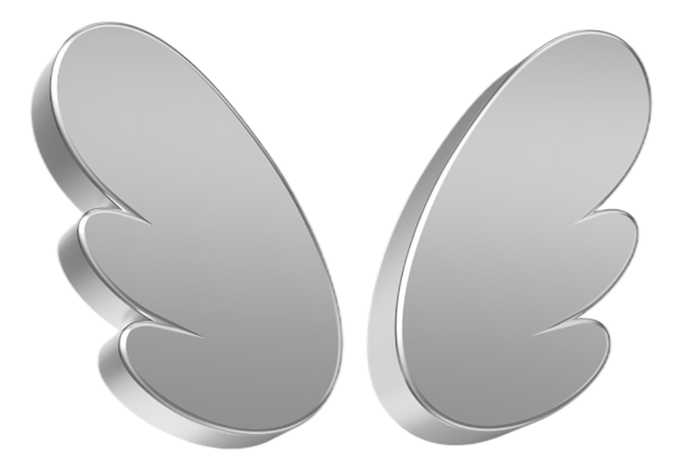Silver Wing Design