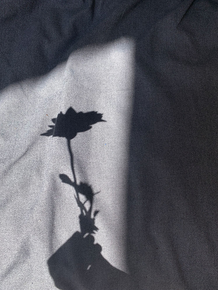 Flower Shadow
