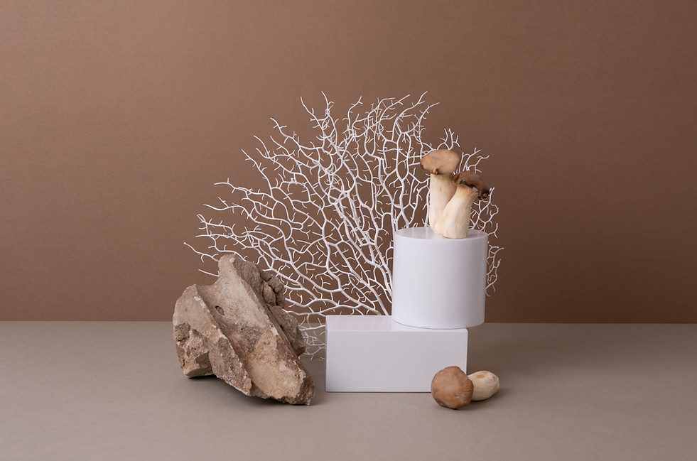 Wild Mushrooms