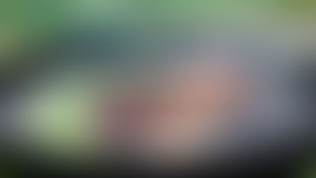 メキシコのバーベキューも楽しいよ