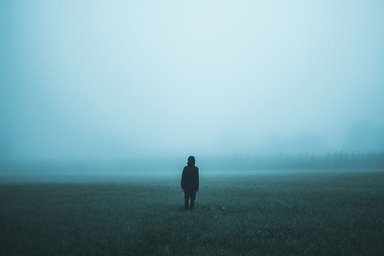 Misty Field