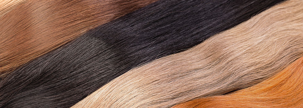 Paleta de color de pelo