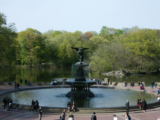 Sustainability and Wellness