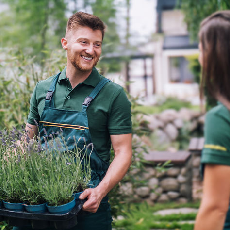 The Benefits of Professional Tree Planting Services