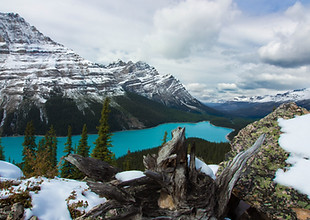 Mountains