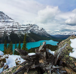 Mountains