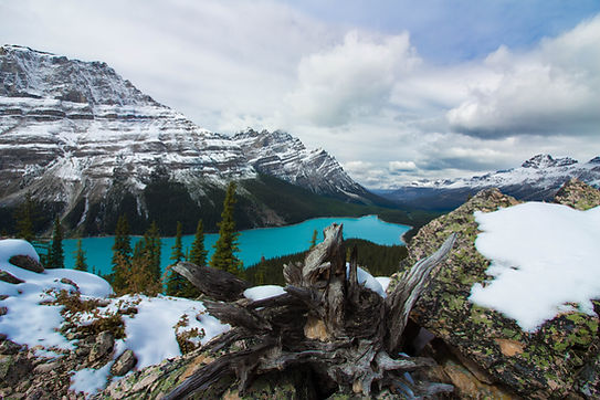 Mountains