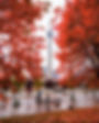 Autumn Colours
