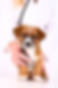 A brown and white puppy looks at the camera while a vet holds a stethoscope to its chest.