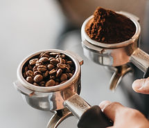 Coffee Bean Comparison