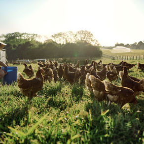 schamanisches Ritual