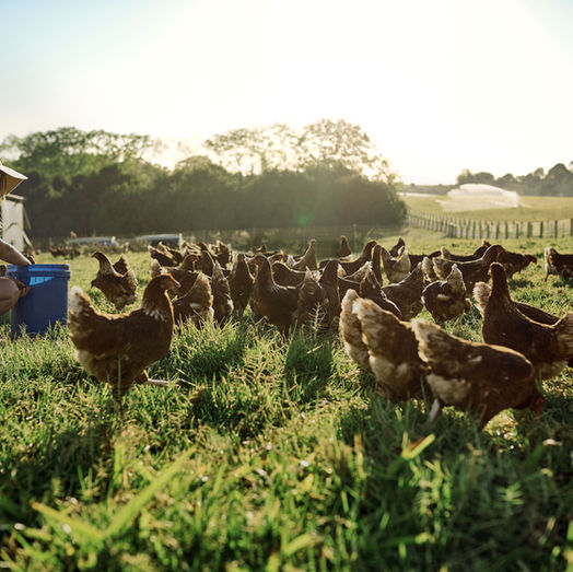 How to Get Funding for a Farm