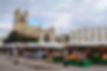 Cambridge University