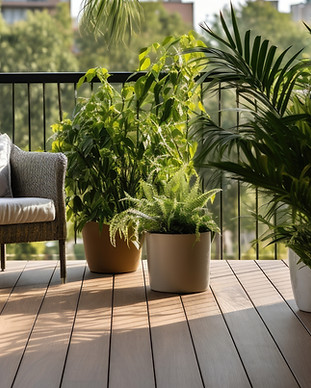 Balcony With Plants