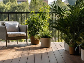 10 Surprising Natural Mosquito Repellants for a Bug-Free Home and Garden