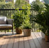 10 Surprising Natural Mosquito Repellants for a Bug-Free Home and Garden