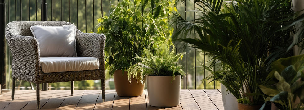 Balcony With Plants