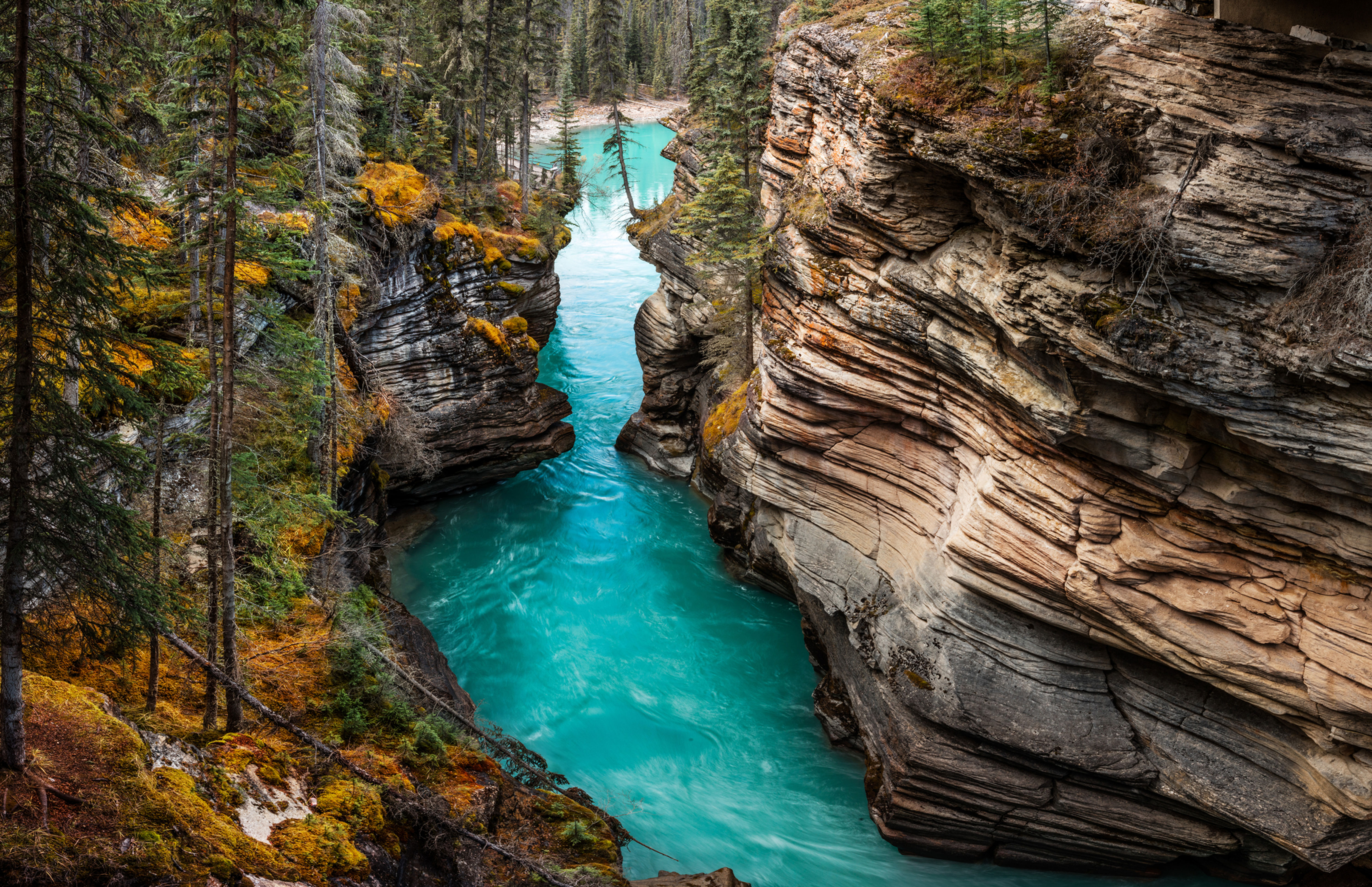River in a gorge