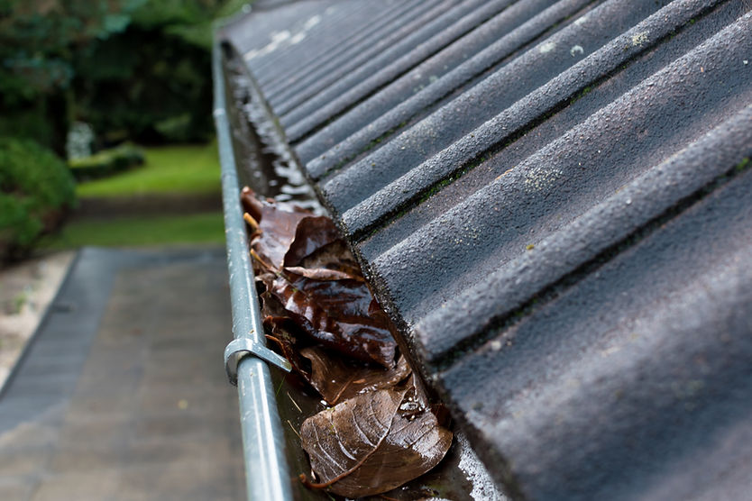 Leaves are blocking water in the gutter
