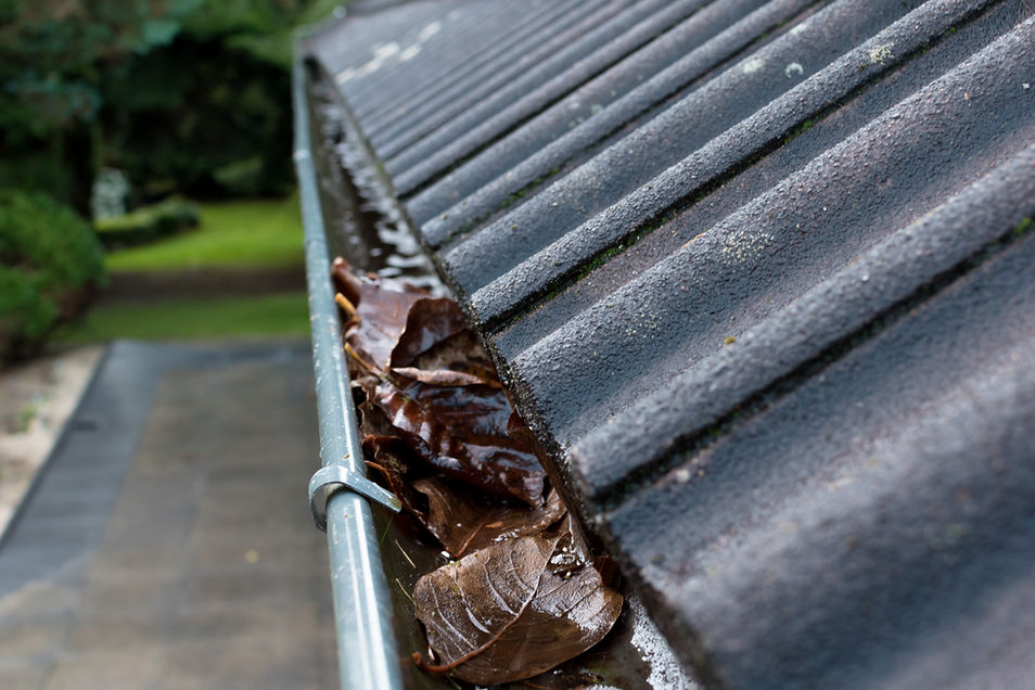Close-up of a rooftop gutter filled with wet, brown leaves