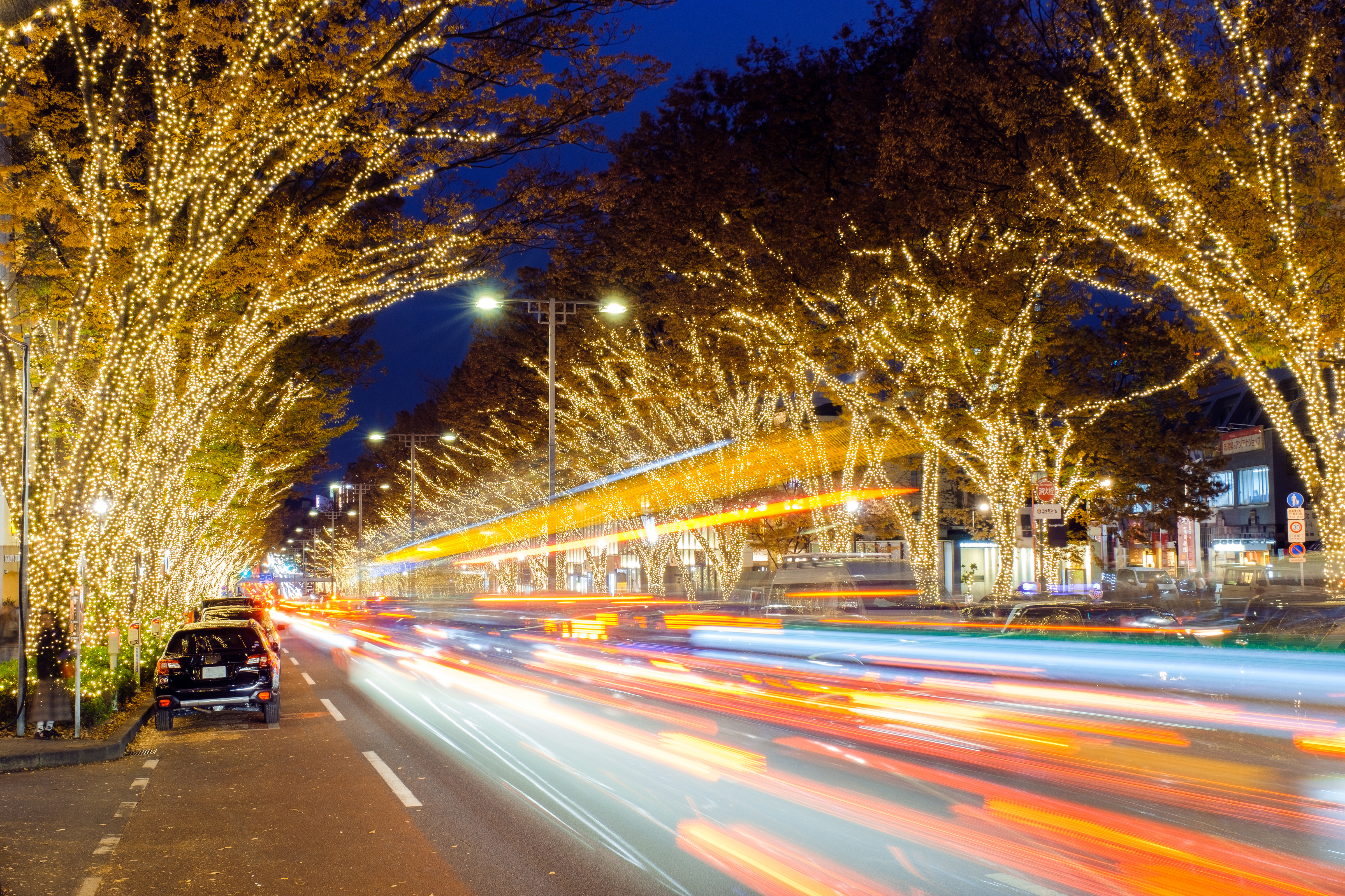 big city limousines vancouver